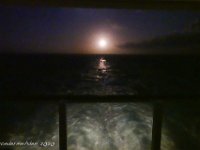 DS702256 : David von der Mehden