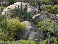 DS702277 : David von der Mehden