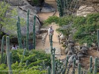 DS702280 : David von der Mehden