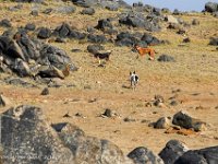 DS702318 : David von der Mehden