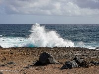 DS702321 : David von der Mehden