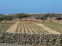 DS702325 : David von der Mehden