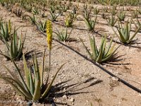 DS702332 : David von der Mehden