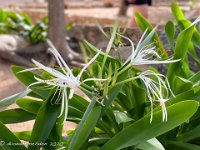 IMG 8296 : David von der Mehden