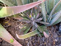 IMG 8298 : David von der Mehden