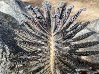 IMG 8302 : David von der Mehden