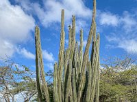 IMG 8304 : David von der Mehden