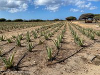 IMG 8309 : David von der Mehden