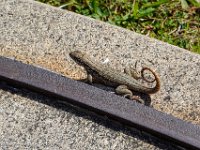 DS702854 : David von der Mehden