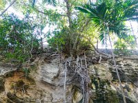 DS702878 : David von der Mehden