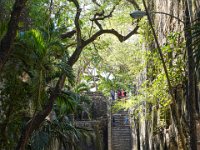 DS702880 : David von der Mehden