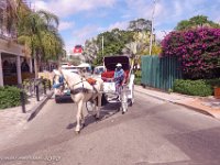 DS702957 : David von der Mehden