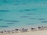 DS703066 : David von der Mehden