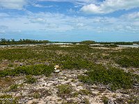 DS703080 : David von der Mehden