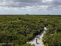 DS703081 : David von der Mehden