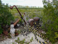 DS703088 : David von der Mehden