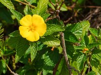 DS703097 : David von der Mehden