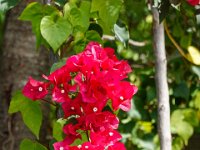 DS703106 : David von der Mehden