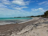 DS703111 : David von der Mehden