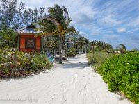 DS703115 : David von der Mehden