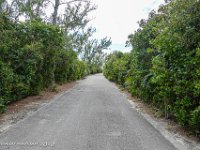 DS703120 : David von der Mehden