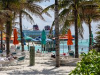 DS703123 : David von der Mehden