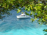 DS702560 : David von der Mehden