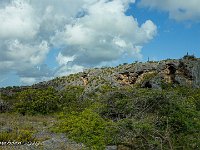 DS702568 : David von der Mehden