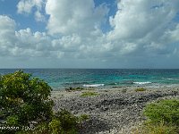 DS702571 : David von der Mehden