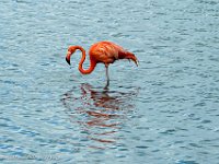 DS702626 : David von der Mehden