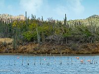 DS702629 : David von der Mehden