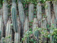 DS702637 : David von der Mehden