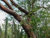 DS702640 : David von der Mehden