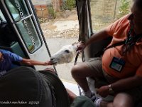 DS702646 : David von der Mehden