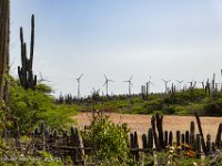 DS702650 : David von der Mehden