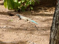 DS702653 : David von der Mehden