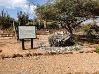 DS702655 : David von der Mehden