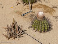 DS702657 : David von der Mehden