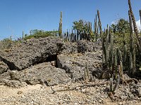 DS702668 : David von der Mehden