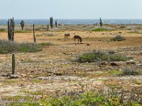 DS702670 : David von der Mehden