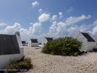 DS702703 : David von der Mehden