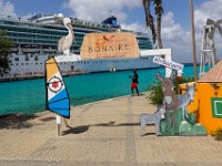 DS702729 : David von der Mehden