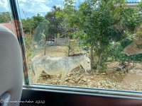 IMG 8330 : David von der Mehden