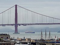 DS700835 : David von der Mehden