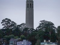 DS700857 : David von der Mehden