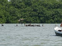 DS604492 : David von der Mehden