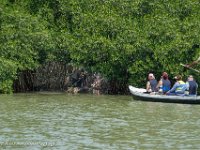 DS604506 : David von der Mehden