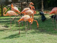 DS604537 : David von der Mehden