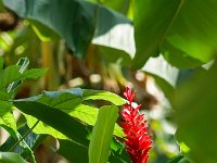 DS604549 : David von der Mehden