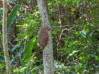 DS604573 : David von der Mehden